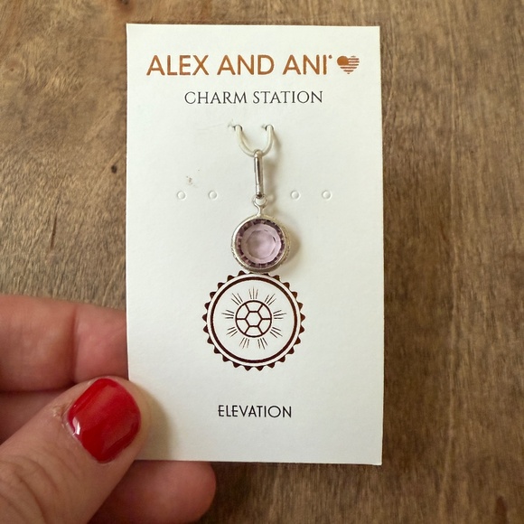 NWT Alex and Ani June Birthstone Light Amethyst Swarovski Crystal Silver Charm - Picture 1 of 2